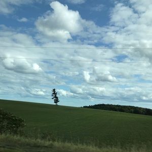 Meet your Posher, Shannon